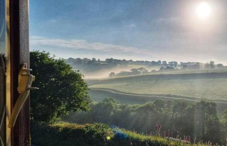 Lovely Little Garden Cottage, Tamar Valley, Cornwall - Photo 17