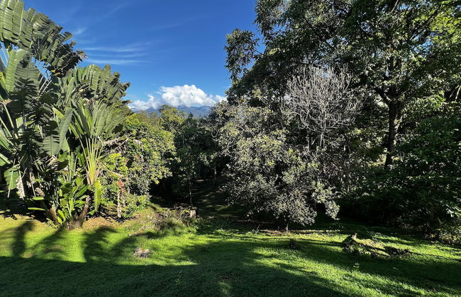 Blue Banyan Inn - Photo 21