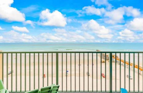 The Ocean Front Starfish Suite by Brightwild - Foto 4