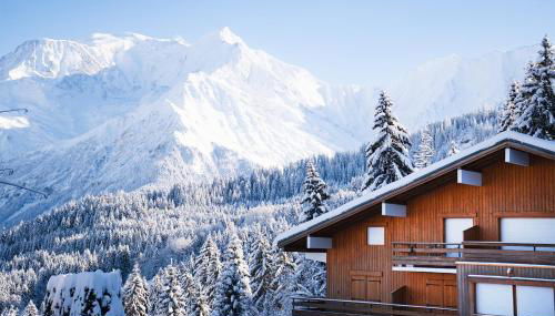 Studio cabine Au Loup Blanc avec vue Mont Blanc - Foto 3