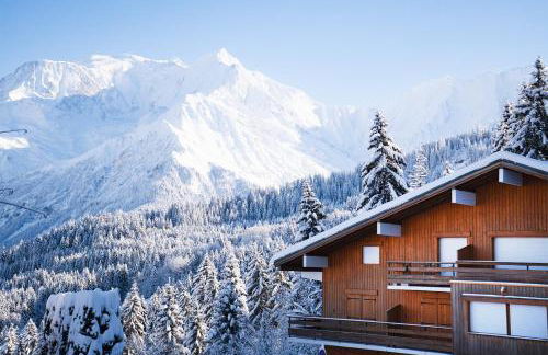 Studio cabine Au Loup Blanc avec vue Mont Blanc - Foto 3