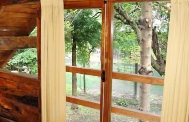 Cabañas Las Maras - Foto 4