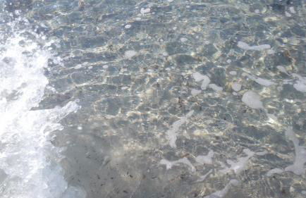 Artistika Golden Apartment - Foto 67