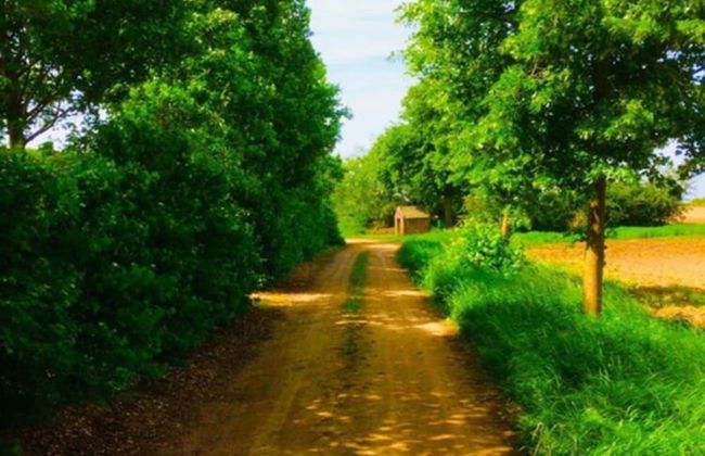 Beautiful Mansion on the Water - Foto 34