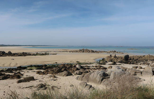 La cinquième Saison - Foto 21