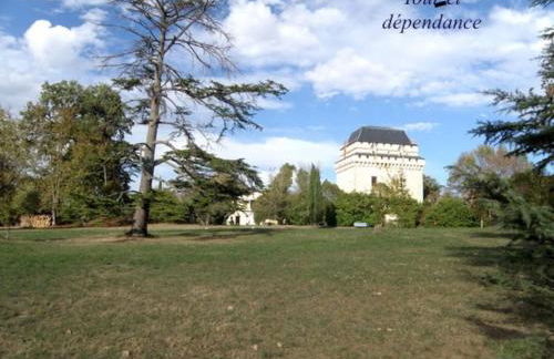 Château Tour du XIII siècle Gazaupouy - Photo 60