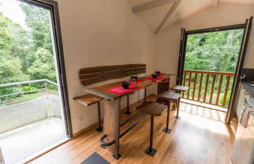 La maison de grand-pere, appt cote lac - Foto 6