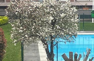 Marismas de Cantabria cerca de Laredo - Foto 10