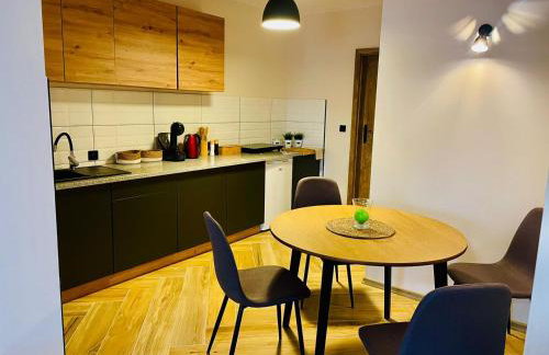 GÓRSKA CISZA - Duży, komfortowy, wyjątkowy Apartament - Foto 29