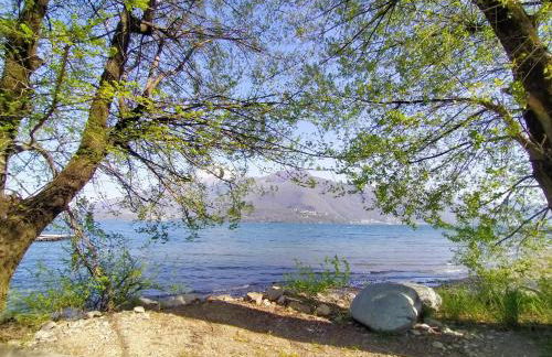 Casa Amarela - Photo 12