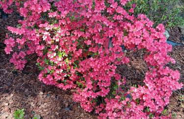 Hillside semi-detached villa with panoramic views - Foto 18