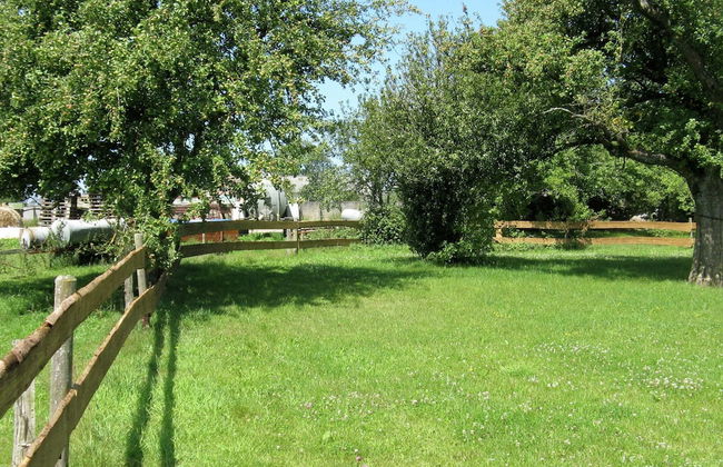 Large Group House, Beautifully Located in Eifel - Foto 28