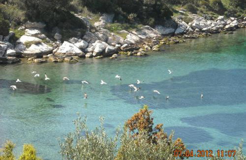 Argo - Mythos - Photo 41