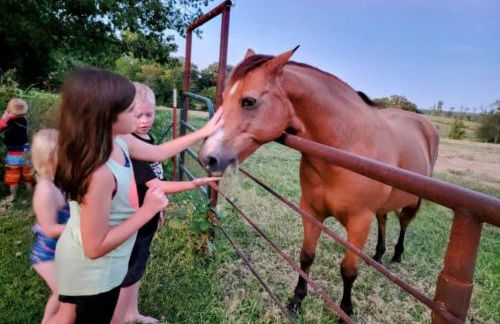 Shoal Creek Retreat - Spacious, Views, Relaxing - Foto 25