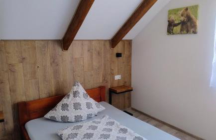 Bieszczadzki Horyzont Apartamenty - Photo 13