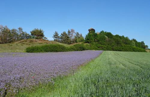 Ferienhaus Kiara - Foto 13
