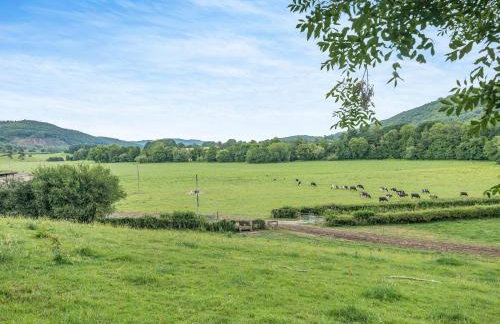 Court Cottage - Photo 29