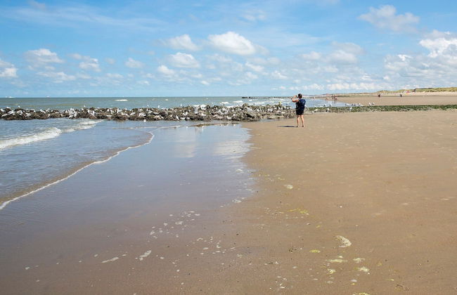 Modern Holiday Home, Near the Sea - Photo 10