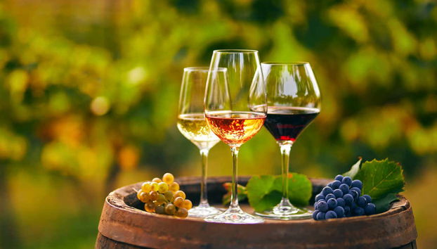 Excursion dans la région viticole de Saint-Émilion - Foto 3