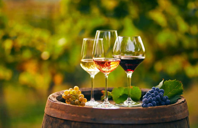 Excursion dans la région viticole de Saint-Émilion - Foto 3