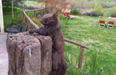 Agriturismo le Spighe - Fattoria Bertaccini - Foto 21