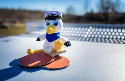 LAGOVIDA Kapitänskajüte d am Störmthaler See - Foto 20