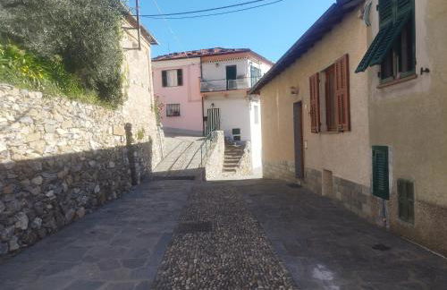 Serenità tra gli ulivi - Foto 6