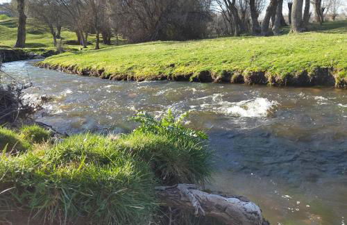 El rincón del molino - Foto 17