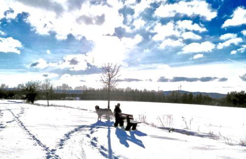 Landhaus am Schloss - Foto 61
