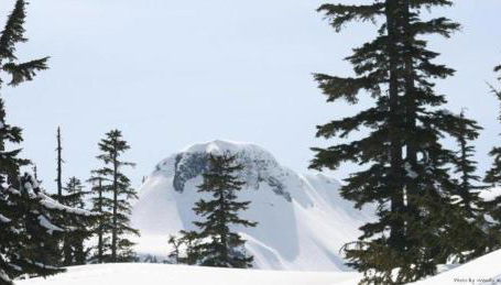 Silver Lake #67 - Foto 2