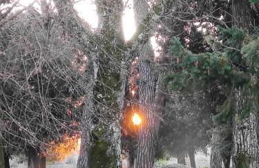 Villa Tommasini La torre - Foto 62