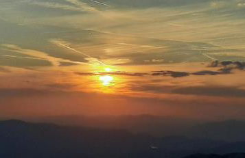 La tana del lupo Pet Free - Foto 8