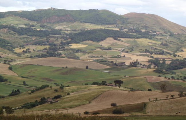 Agriturismo San Pietro - Photo 13