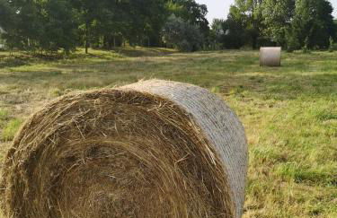 Torre d'en Bru - Photo 22