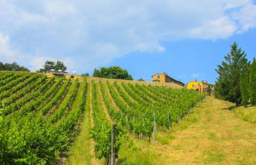 Colle Bertini - Foto 8