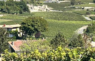 Les logis des Vignobles Sainte Emilion en Duplex n 3 avec terrasse - Foto 19