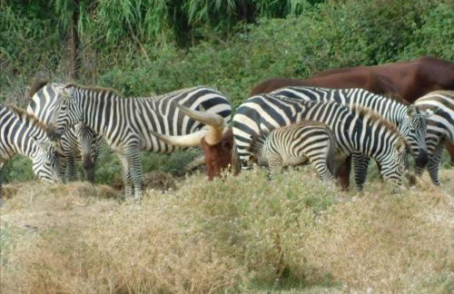 LA MAISON DU LAC climatisée et WiFi gd F3 - Foto 63