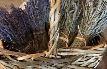 Luxury Farm Stay-Bonds Corner Bungalow-Wolf Pine Hollow - Foto 57