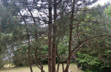 Willa na Kaszubach z wlasna linia brzegowa nad jeziorem 4 sypialnie ,ryby,grzyby - Foto 20