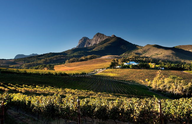 Marianne Wine Estate - Photo 45