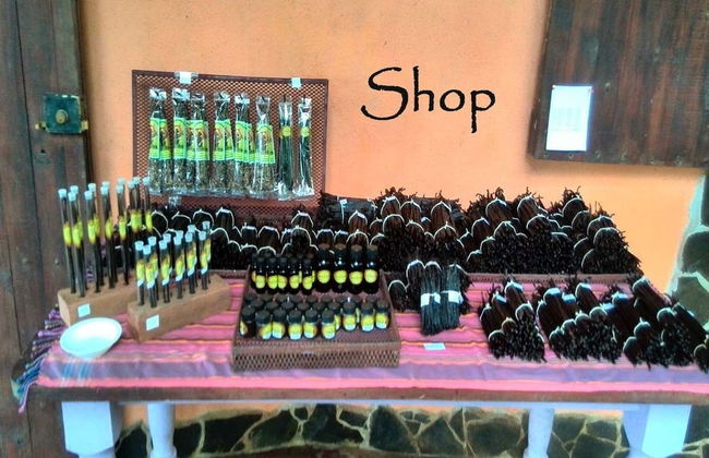 Vanilla Jungle Lodge - Bed & Breakfast - Foto 17