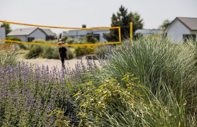Detached Single Story Holiday Home Near the Sea - Photo 22