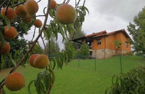 El MIRADOR DE TONO , Casa entera - Foto 25