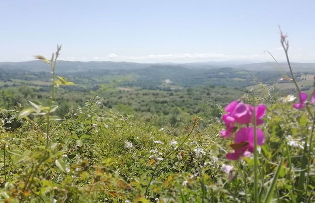 Home by Mel G Manciano - Foto 22