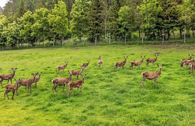 3 bedroom House in Heiligenblut am Großglockner with garden and terrace - Photo 31