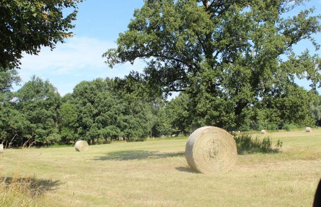 Ferienhaus in Brandenburg - Foto 26