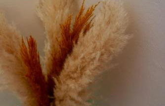 La maison de Nicole Salice Salentino - Foto 6