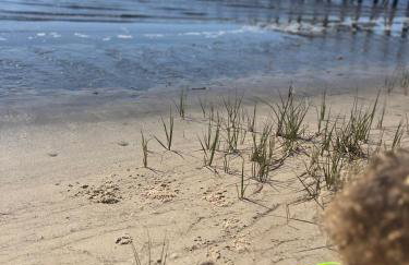 Perfect Summer Vacation/ Waterfront Property/Bay Views/ Ocean Views/ Boat Dock/ Kayak/Dog Friendly! - Foto 34