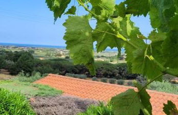 Agriturismo Villa Carducci - Foto 22