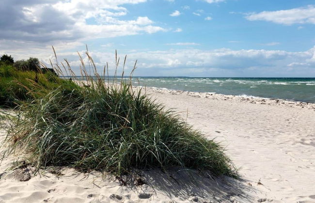 Insel-bungalow auf Poel - Foto 28